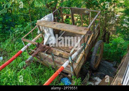 Ein alter rostiger Eisenwagen mit Platten Reifen auf dem Boden, überwuchert mit wildem Gras Stockfoto