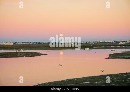 Am frühen Morgen in Faro - Gewässer von Ria Formosa mit Monduntergang und Vögeln, Algarve, Portugal Stockfoto