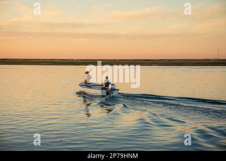 Ein Mann und ein seltsamer Hund auf dem Boot bei Sonnenaufgang auf Ria Formosa, Faro, Algarve, Potugal Stockfoto