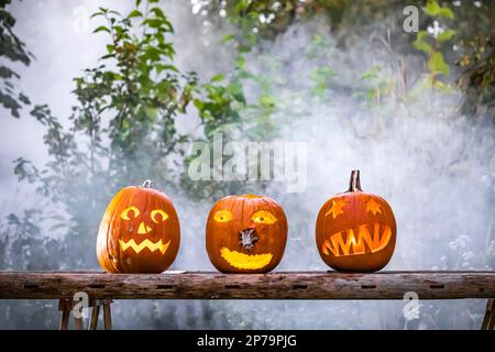 Kunstvoll geschnitzte Kürbisse für Halloween, beleuchteter Kürbis in einem Garten mit gruseliger Atmosphäre, Stuttgart, Baden-Württemberg, Deutschland Stockfoto