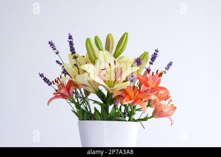 Strauß frischer, farbenfroher asiatischer Lilien und Lavendel in einem weißen Keramikvase-Studio, abgeschirmt auf Weiß. Stockfoto