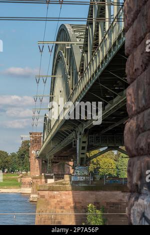 Südbrücke Eisenbahnbrücke über den Rhein Stockfoto