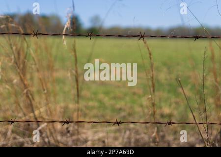 Barb-Drahtzaun vor einem leeren Feld Stockfoto