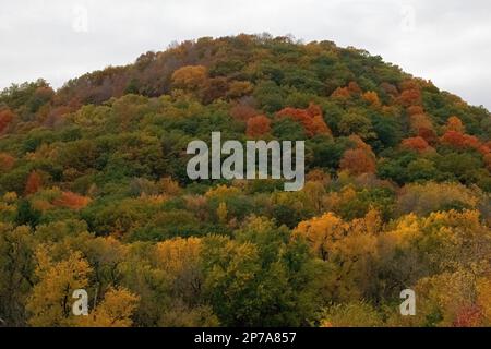 Die hohen Klippen rund um Winona, Minnesota, USA, bedecken die Bäume mit bunten Blättern im Herbst. An einem bewölkten Herbstnachmittag aufgenommen. Stockfoto