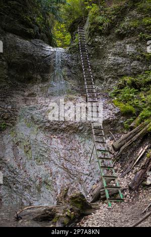 Schwieriger Pfad mit Leiter in der Nähe des Wasserfalls im Canyon des Nationalparks Slovak Paradise, Slowakei, Slowacki Raj National Park, Slowakei, Europa Stockfoto