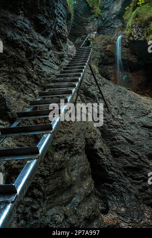 Schwieriger Pfad mit Leiter in der Nähe des Wasserfalls im Canyon des Nationalparks Slovak Paradise, Slowakei, Slowacki Raj National Park, Slowakei, Europa Stockfoto