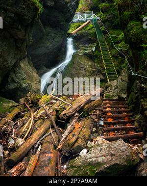 Schwieriger Pfad mit Leiter in der Nähe des Wasserfalls im Canyon des Nationalparks Slovak Paradise, Slowakei, Slowacki Raj National Park, Slowakei, Europa Stockfoto