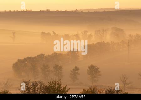 Wunderschöne mährische Felder mit Alleen von Bäumen, die von Morgennebel umgeben sind. Tschechische Republik, Mähren, Tschechische Republik, Europa Stockfoto