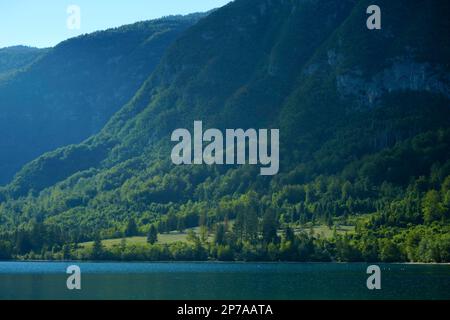 Seitensonnenlicht an bewaldeten Berghängen über dem Wocheinsee (Bohinjsko jezero). Slowenien, Stara Fuzina, Triglav-Nationalpark Stockfoto
