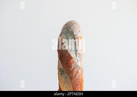 Schimmeliges, verdorbenes Stück Brot. Nahaufnahme, isoliert auf grauem Hintergrund. Stockfoto