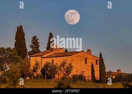 Vollmond über Pienza in der Toskana vor einem typischen Landhaus mit Zypressen, Pienza, Provinz Siena, Italien Stockfoto