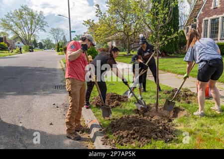 Detroit, Michigan, Pflanzen Freiwillige von der Greening of Detroit und der Morningside Community Organization Bäume auf der Ostseite von Detroit Stockfoto