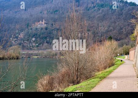 Die Neckar-Promenade Neckarlauer mit Blick auf einen Teil des Schlosspanoramas der Stadt der vier Schlösser Neckarsteinach, Hessen, Deutschland. Stockfoto