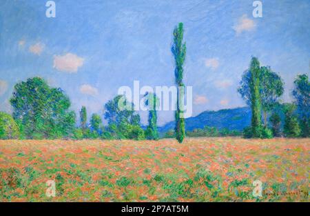 Poppy Field, Giverney, Claude Monet, 1890-1891, Art Institute of Chicago, Chicago, Illinois, USA, Nordamerika, Stockfoto