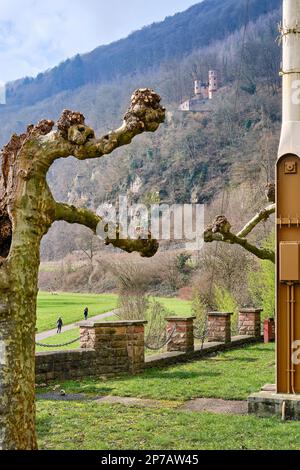 Die Neckar-Promenade Neckarlauer mit Blick auf einen Teil des Schlosspanoramas der Stadt der vier Schlösser Neckarsteinach, Hessen, Deutschland. Stockfoto