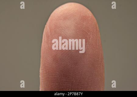 Kaukasische männliche Rückansicht des Daumens mit einzigartigem Fingerabdruckmuster. Makro-Nahaufnahme im Studio, isoliert auf Grau. Stockfoto