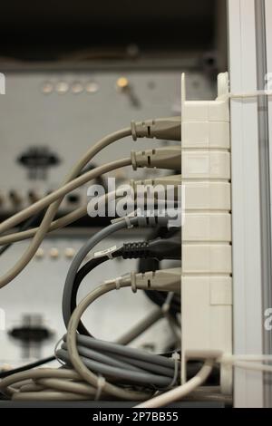 Netzverlängerungskabel mit mehreren Steckdosen, mehreren angeschlossenen Netzkabeln in einem Labor. Nahaufnahme, geringe Schärfentiefe, keine Menschen. Ordentlich und Stockfoto