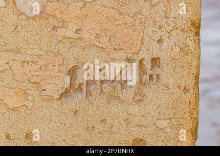 Ägypter, Sakkara in der Nähe von Kairo, Grab von Horemheb, Graffito auf dem zweiten Pylon: Penbuy. Stockfoto