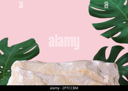 Stein Podium mit Monstera Tropenwaldpflanze verschwommen Pink isoliert background.Organic Schönheit gesundes Produkt präsentieren natürliche Platzierung Sockel di Stockfoto