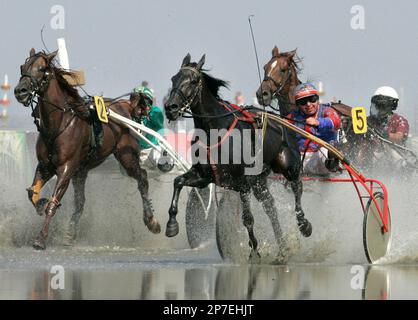 Traber rasen am Sonntag, 8. August 2010, beim Duhner Wattrennen durch