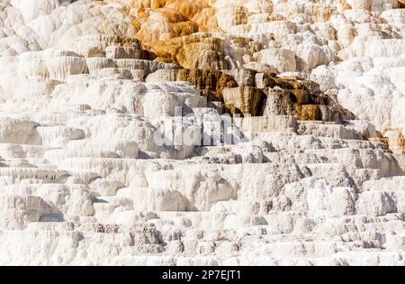 Weiß mit ein paar orangefarbenen Schichten aus der Thermalluft nahe Mammoth Hot Springs in einer sommerlichen Yellowstone Park Landschaft Stockfoto