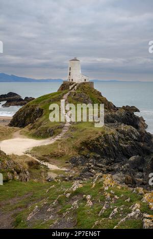 Der Leuchtturm auf der Insel Angelsey Stockfoto