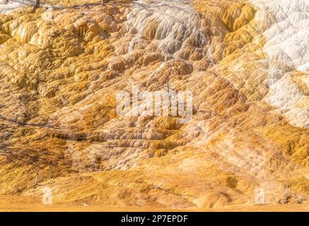 Nahaufnahme der terrassenförmigen orangefarbenen und weißen Rivuletten an den Mammoth Falls im Yellowstone-Nationalpark Stockfoto