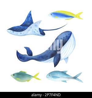 Set von Meerestieren in Aquarell gemalt. Isolierte Illustration auf weißem Hintergrund. Für Design, Verpackung, Postkarten, Werbung und andere Stockfoto