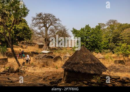 Traditionelles afrikanisches ländliches Taneka-Dorf in benin mit runden Tonhäusern mit konischen Strohdächern und einem Kochtopf Stockfoto