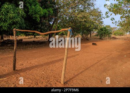 Holzpfosten und eine winzige Querstange machen das Tor auf einem leeren sandigen Fußballfeld in einem ländlichen afrikanischen Dorf zwei kleine Ziegen markieren den Mittelkreis Stockfoto
