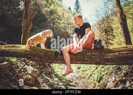 Ein Mann mittleren Alters, der mit einem Beagle-Hund auf dem gefallenen Baumstamm über dem Bergwaldbach sitzt, während er auf das Trocknen der Wäsche und den Trekkingstiefel wartet Stockfoto