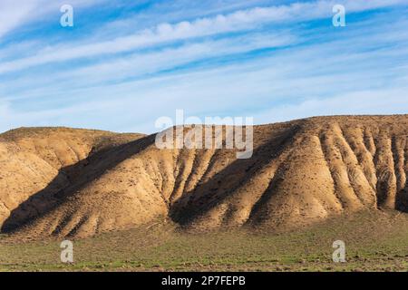 Carrizo Plain National Monument, Kalifornien Stockfoto