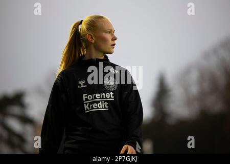 Laval, Frankreich. 21. Februar 2023. Laval, Frankreich, Februar 21. 2023: Aktion des internationalen Freundschaftsspiels zwischen Dänemark und Uruguay im Stade Francis Le Basser in Laval, Frankreich (James Whitehead/SPP). Kredit: SPP Sport Press Photo. Alamy Live News Stockfoto