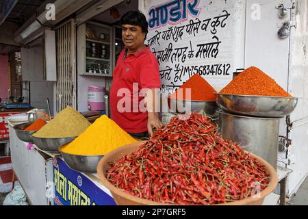 UDAIPUR, INDIEN, 5. November 2017 : Gewürze in einem Laden des traditionellen Marktes in Udaipur, Rajasthan. Stockfoto