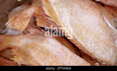 Frischer roher Lachs, Stör, dorado-Fisch und Wolfsbarsch liegen auf dem Tisch mit Eis auf dem Fischmarkt. Offene Regale in einem Fischladen. Nahaufnahme Stockfoto