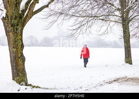 Ein Mann in einer leuchtend roten Jacke läuft über ein schneebedecktes Feld Stockfoto