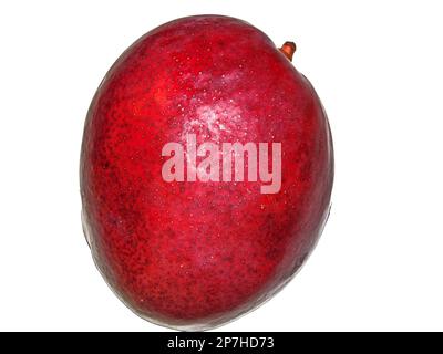 Mango-Frucht isoliert auf weißem Hintergrund Stockfoto