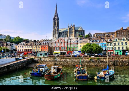 Farbenfrohe Gebäude und alte Boote mit Kathedrale im Hintergrund im Hafen von Cobh, County Cork, Irland Stockfoto