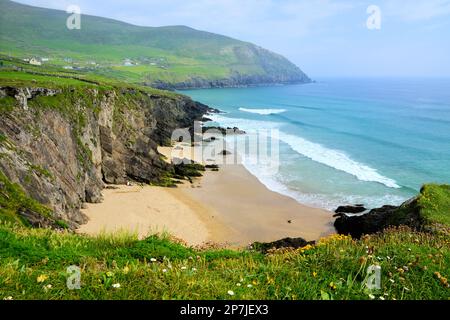 Schöner Slea Head Beach entlang der malerischen Halbinsel Dingle, County Kerry, Irland Stockfoto