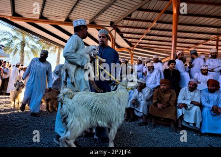 Szenen vom chaotischen Ziegenmarkt, Nizwa, Oman Stockfoto