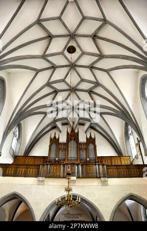 Orgel, St. Katharinenkirche, Kostol sv. Kataríny, Banská Štiavnica, Selmecbánya, Banská Bystrica Region, Slowakische Republik, Europa Stockfoto