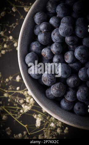 Blueberries Bowl. Stockfoto