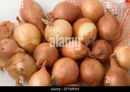 Nahaufnahme einiger kleiner roher ungeschälter Zwiebeln neben dem Behälter auf einer weißen Oberfläche mit Blick von oben Stockfoto