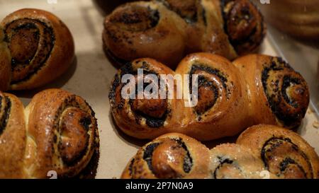 Reihen von warmen, frisch gebackenen Brötchen im Bäckereistand im örtlichen Lebensmittelgeschäft Stockfoto