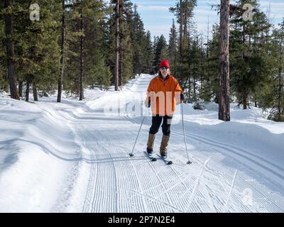 WA23225-00...WASHINGTON - Skifahrer auf einem gepflegten Skilanglauf- und Skate-Ski-Pfad, der vom South Loup Loup Sno-Park beginnt. Stockfoto