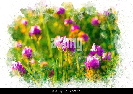 Ein Gemälde von lila Blumen auf einem Feld. Design für Tapete, Grußkarte Stockfoto