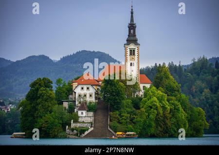 Nahaufnahme der Insel Bled mit der wunderschönen Kirche Mariä Himmelfahrt, weißen Häusern und der langen Treppe im Sommer Stockfoto