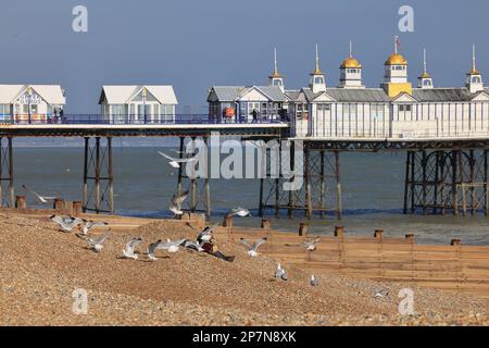 Der Pier in Eastbourne, vom Kieselstrand, im Wintersonnenschein, in Eastbourne, East Sussex. Stockfoto