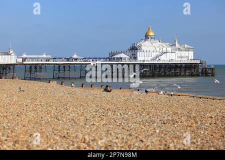 Der Pier in Eastbourne, vom Kieselstrand, im Wintersonnenschein, in Eastbourne, East Sussex. Stockfoto