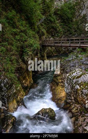 Ein Wasserlauf um einen Stein in der Vintgar-Schlucht, Bled, Slowenien Stockfoto